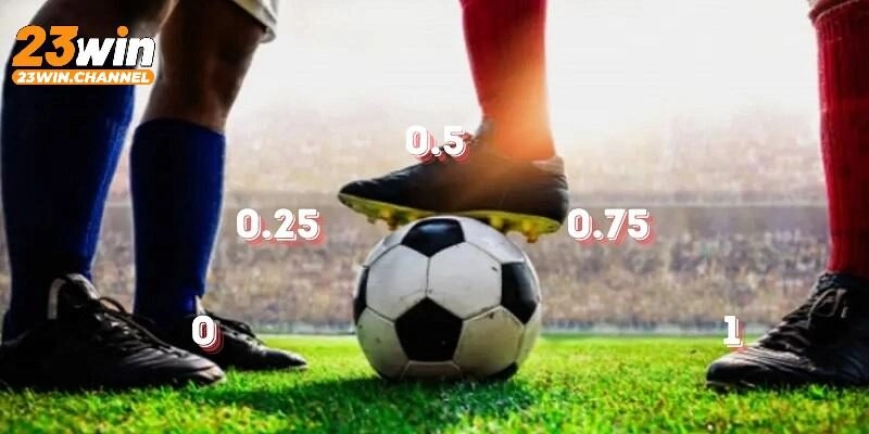 Kèo Châu Á là trải nghiệm giải trí đỉnh cao trong mỗi trận C2